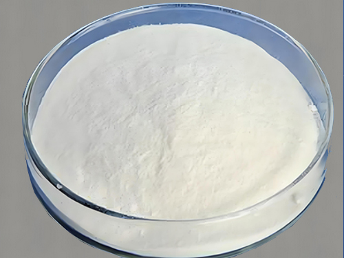 Lactobacillus helveticus HC1253