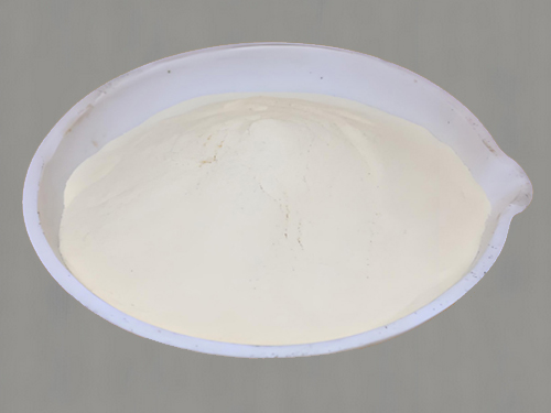 Bifidobacterium animalis subsp. lactis HSLA-009