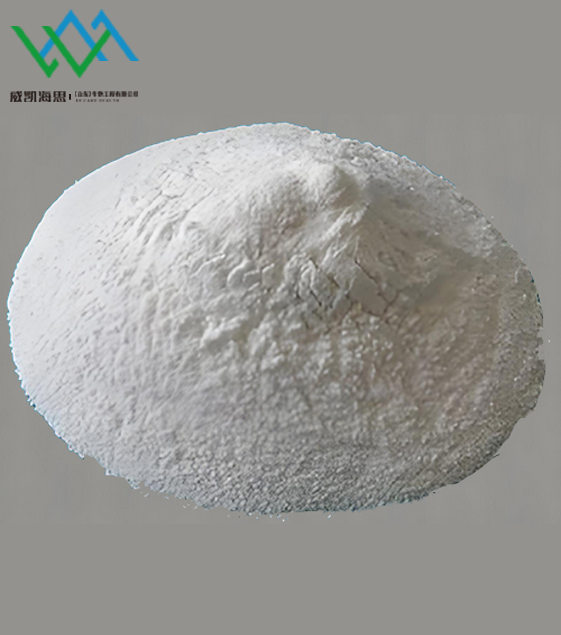 Weissella coagulans-HC5106